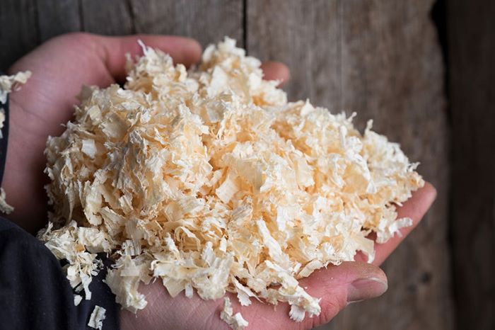 Cedar & Pine Wood Shavings