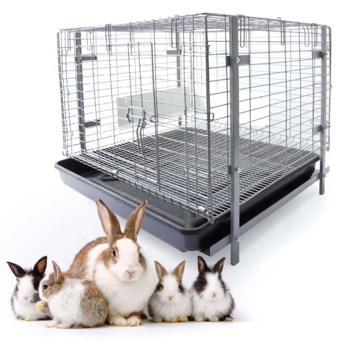Find out how the HOMESTEAD Bunny Cages with Tray includes essential accessories, making it a hassle-free solution for rabbit owners.