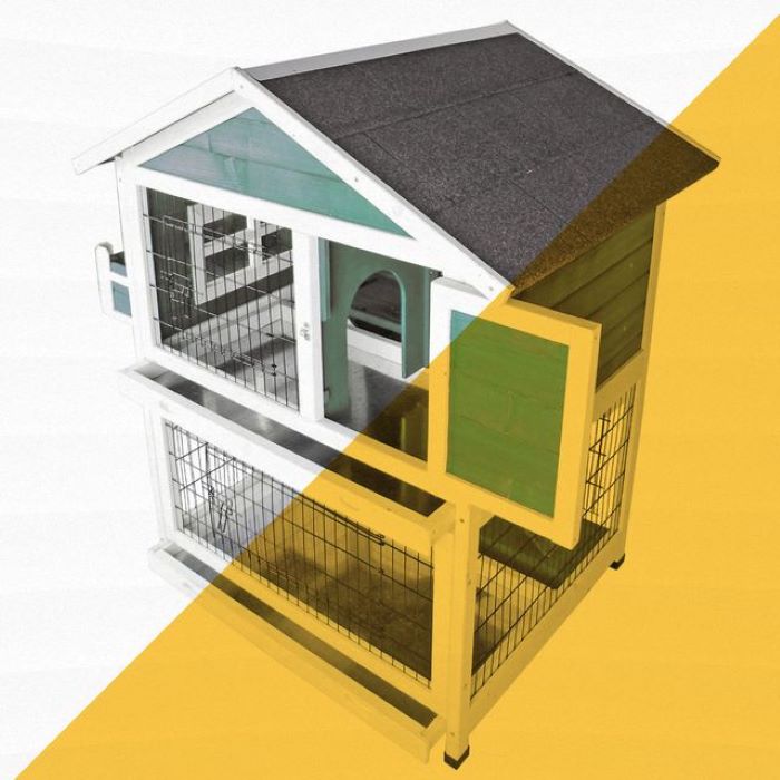 3 Best Outdoor Rabbit Hutches Review