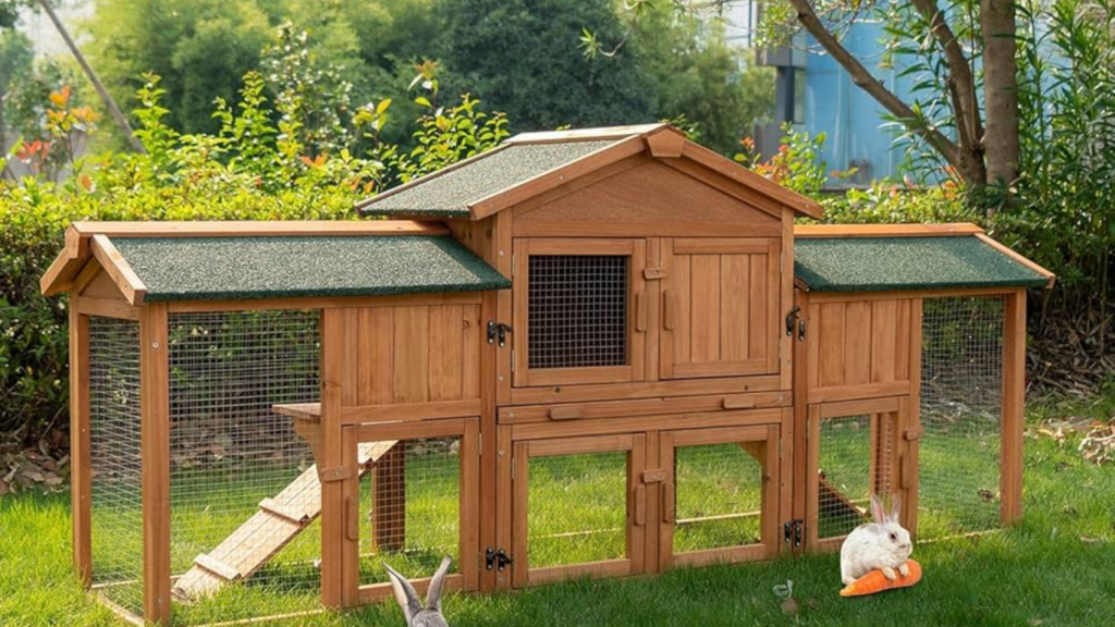 Best Rabbit Hutch Options for a Tropical Paradise